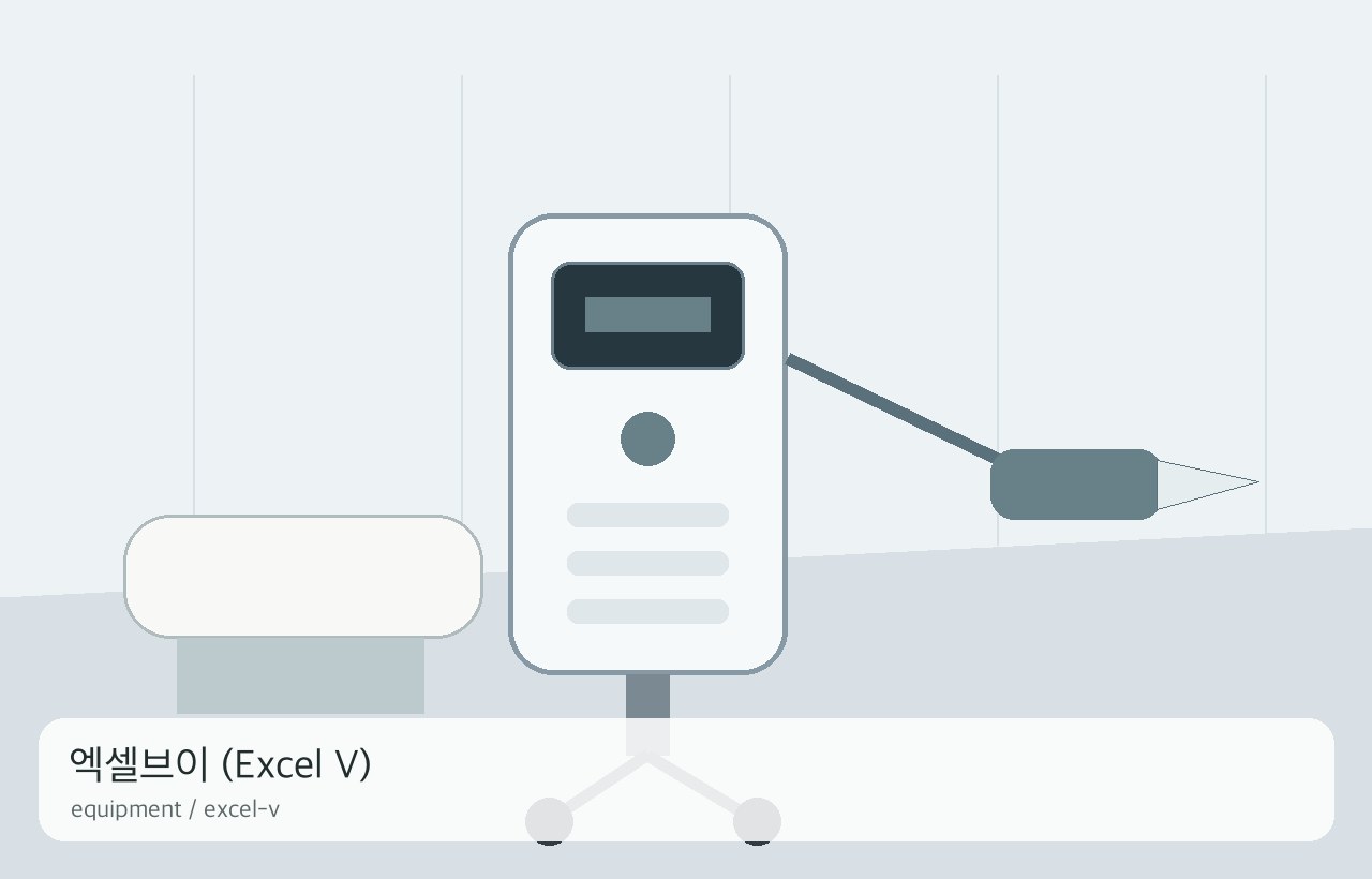 엑셀브이 (Excel V)